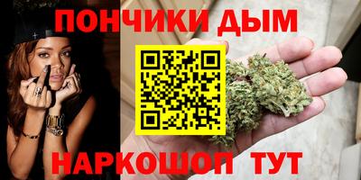 гидра Кингисепп