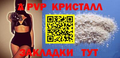 стафф Кандалакша