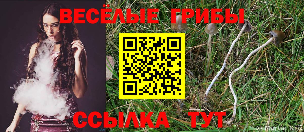 Псилоцибиновые грибы ЛСД Клинцы
