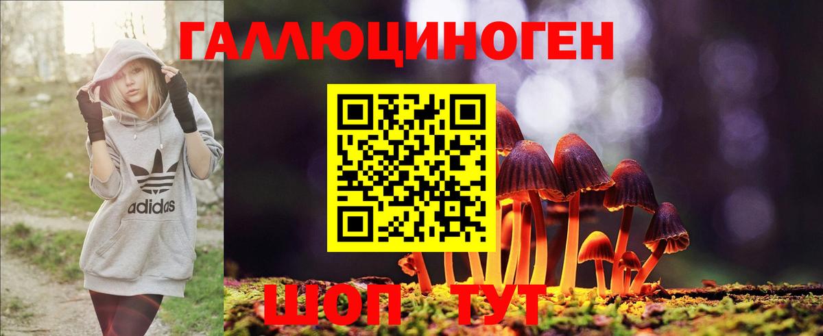 магазин продажи наркотиков  Вход с VPN  Клинцы  Галлюциногенные грибы Psilocybine cubensis  Псилоцибиновые грибы Cubensis 